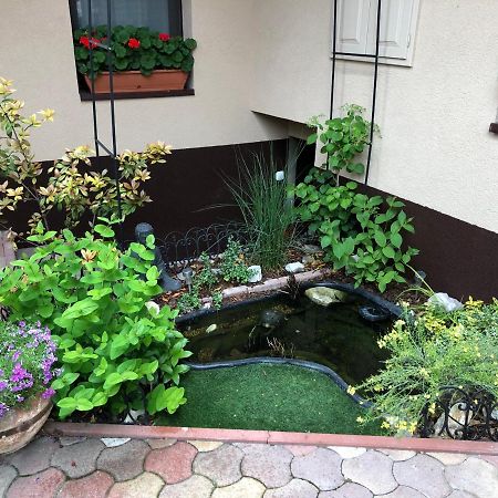 Milla Apartman Szentendre Dış mekan fotoğraf