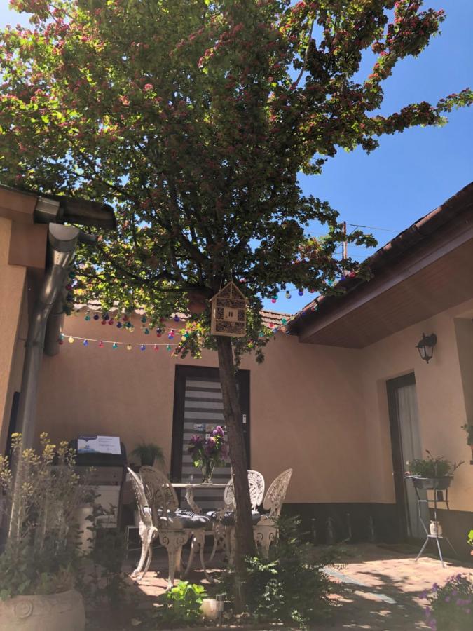 Milla Apartman Szentendre Dış mekan fotoğraf