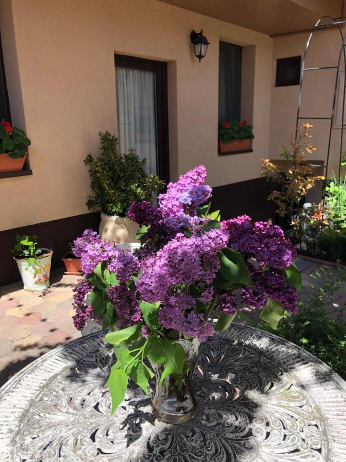 Milla Apartman Szentendre Dış mekan fotoğraf