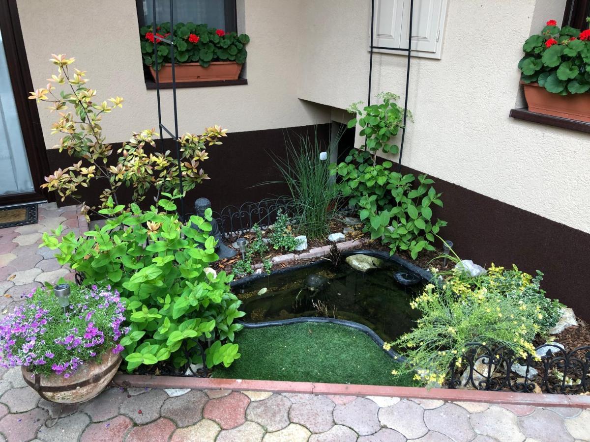 Milla Apartman Szentendre Dış mekan fotoğraf